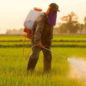 Pesticides.jpg